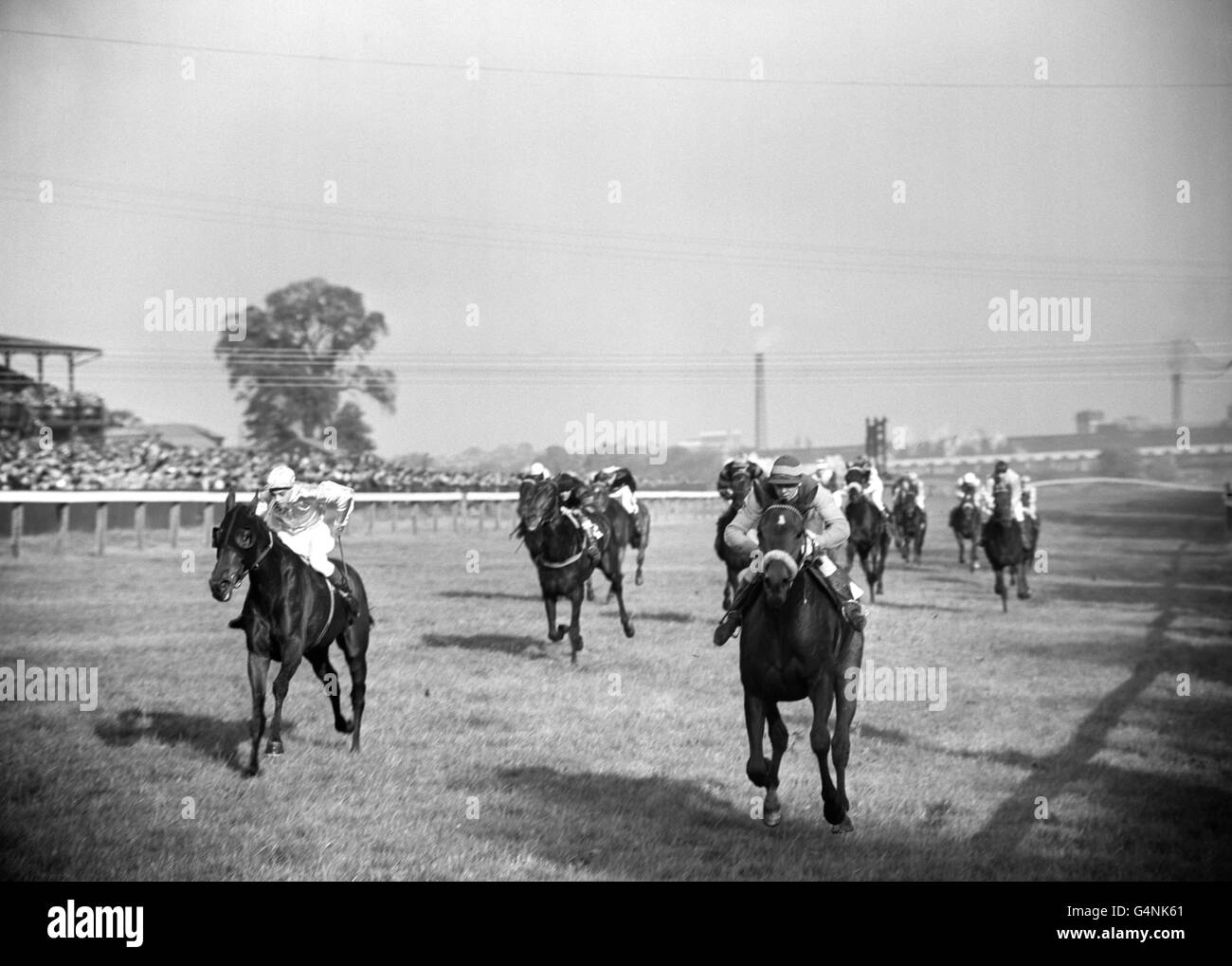 Horse racing at the alexandra palace racecourse in north london hires
