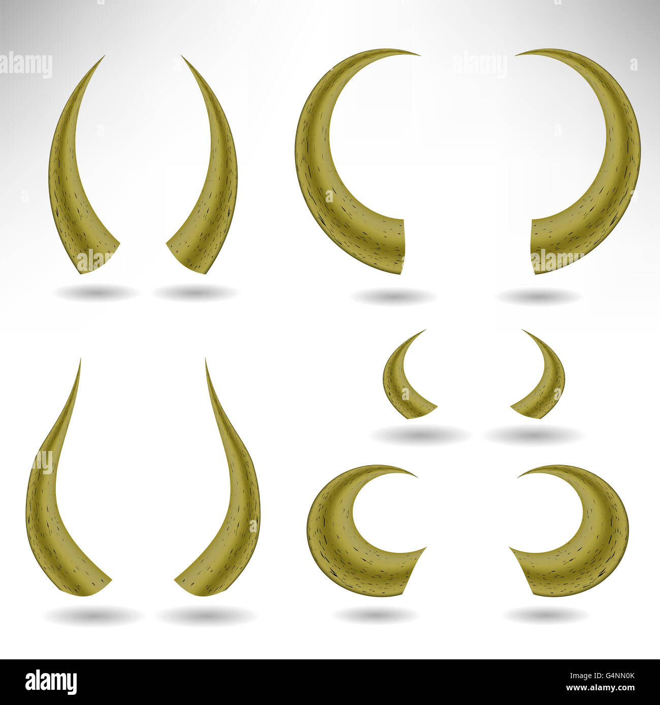 Animal Horns Isolated. Bull Horns Stock Photo Alamy