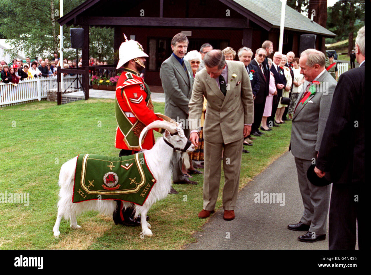 The Prince of Wales inspects the Battalion goat belonging to the 2nd Battalion, Royal Regiment of Wales, at the Royal Welsh Show at Builth Wells. Stock Photo