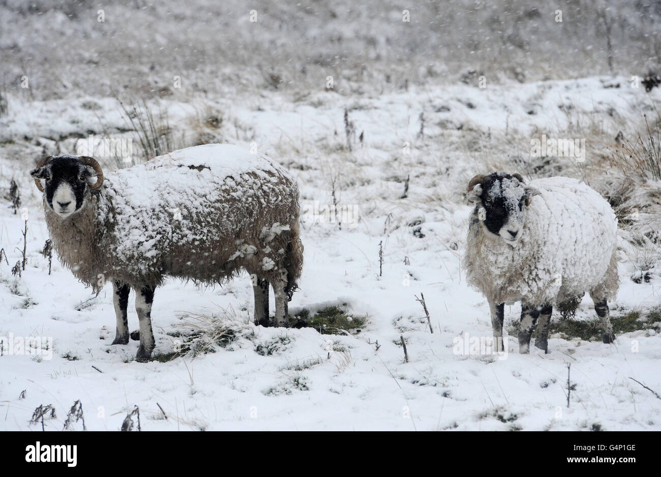 Winter weather December 4th Stock Photo Alamy