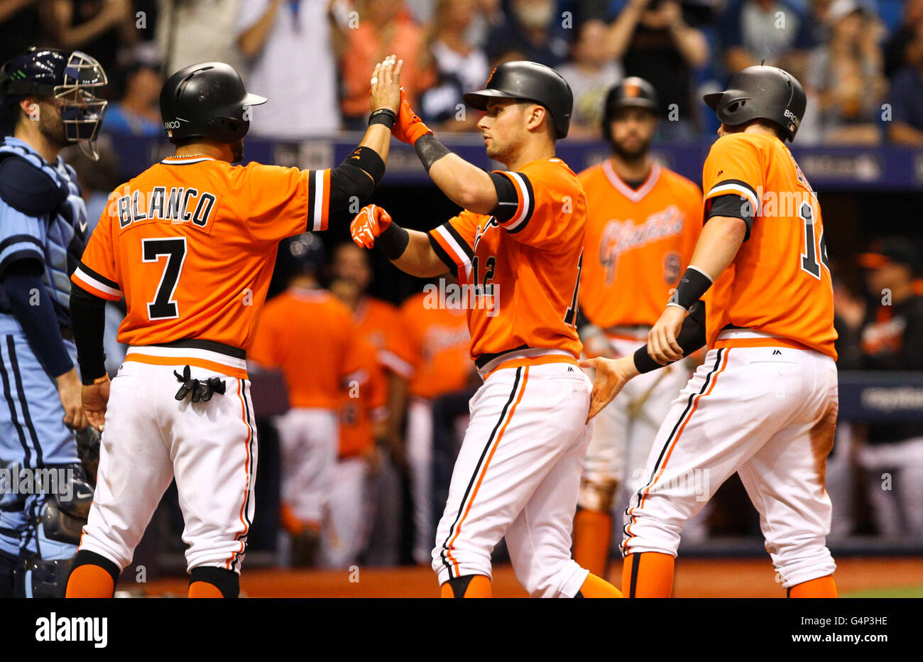 St. Petersburg, Florida, USA. 18th June, 2016. WILL VRAGOVIC | Times.San Francisco Giants second baseman Joe Panik (12) celebrates his three run home run in the ninth inning of the game between the San Francisco Giants and the Tampa Bay Rays at Tropicana Field in St. Petersburg, Fla. on Saturday, June 18, 2016. The San Francisco Giants beat the Tampa Bay Rays 6-4. © Will Vragovic/Tampa Bay Times/ZUMA Wire/Alamy Live News Stock Photo