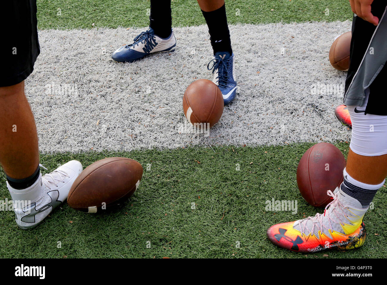 Tampa, Florida, USA. 17th June, 2016. DOUGLAS R. CLIFFORD Times.High