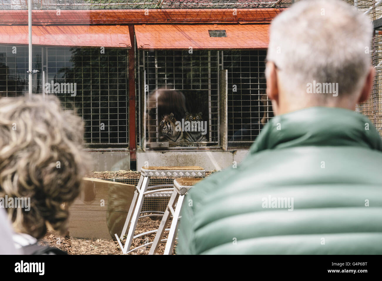 Berlin, Berlin, Germany. 18th June, 2016. Spectators in front of the installation of the project. The political art group 'Center for Political Beauty' (Zentrum fÃ¼r Politische SchÃ¶nheit, ZPS) sets up Roman-style arena for refugees to be devoured by tigers in outside the Maxim Gorki theater in Berlin. © Jan Scheunert/ZUMA Wire/Alamy Live News Stock Photo