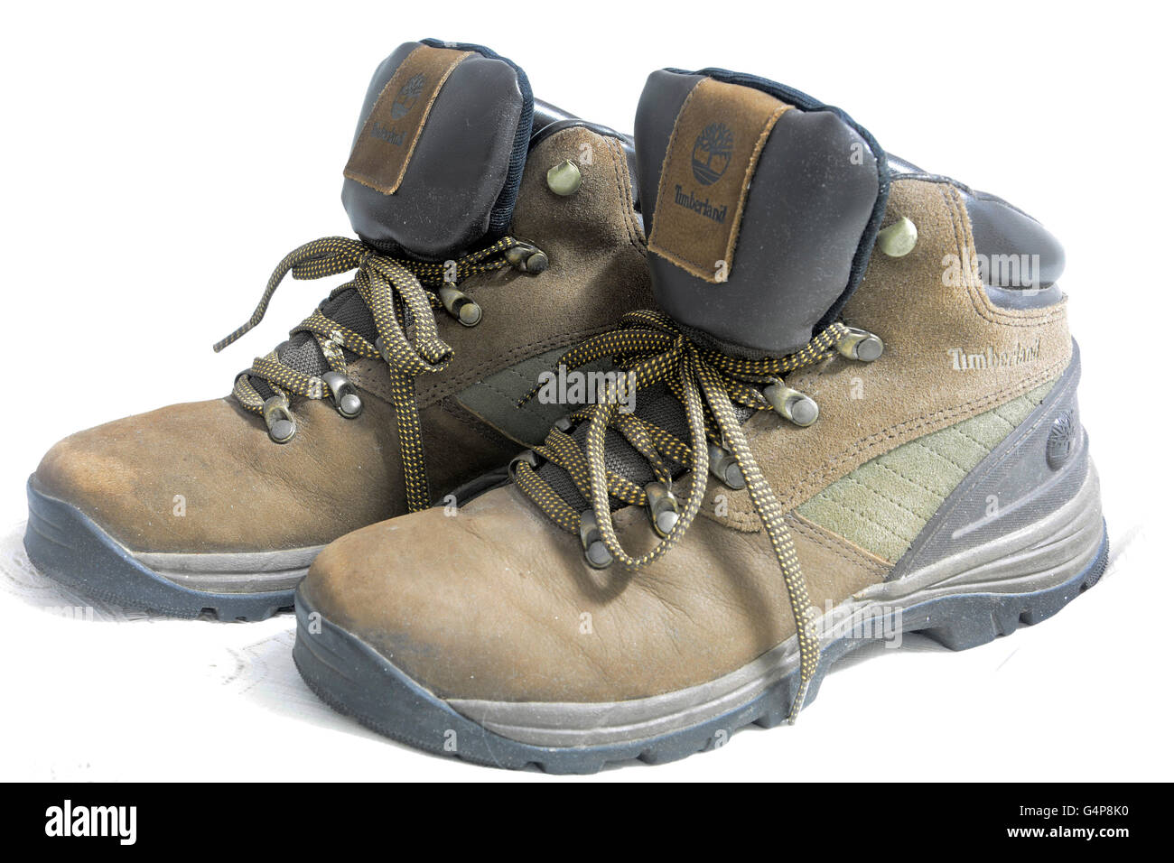 Safari Shoes High Resolution Stock Photography and Images - Alamy