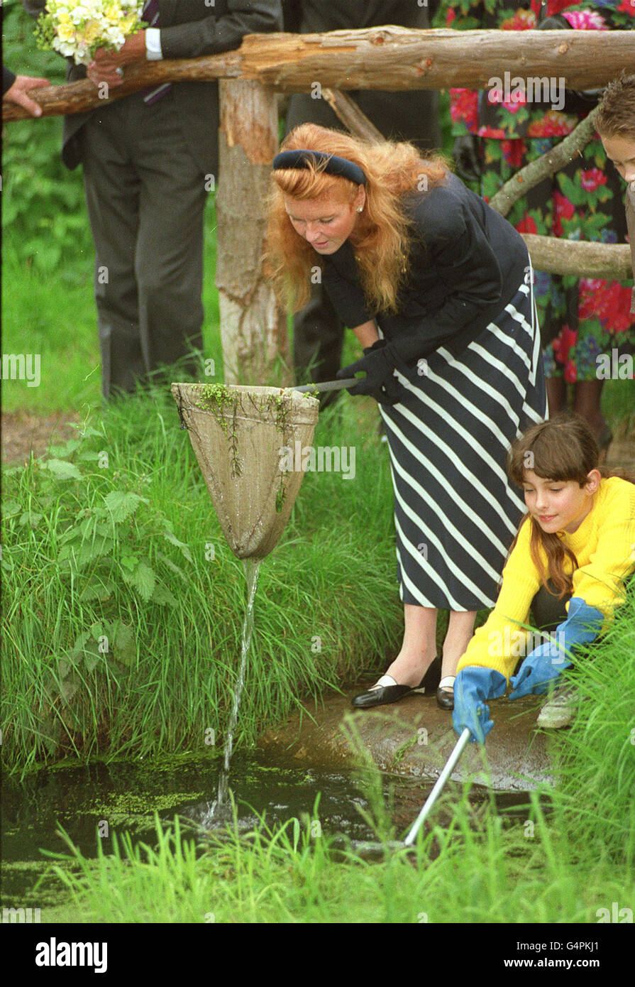 Duchess of York/charity event Stock Photo