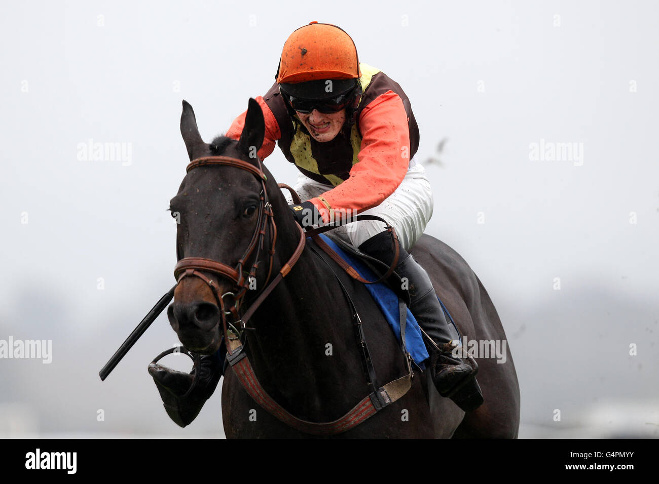 Horse Racing - Ludlow Racecourse. Weet In Nerja ridden by Matthew Barber during the Stourport High School Racing For Schools Selling Hurdle Stock Photo