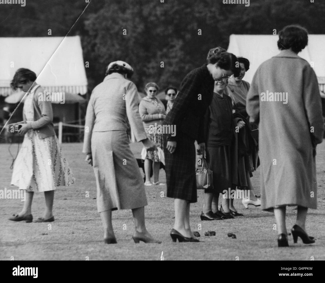 Queen Elizabeth II, second right, joining members of the public on a polo ground at Smith's Lawn, Windsor Great Park, to tread down pieces of turf torn up by the ponies. Stock Photo