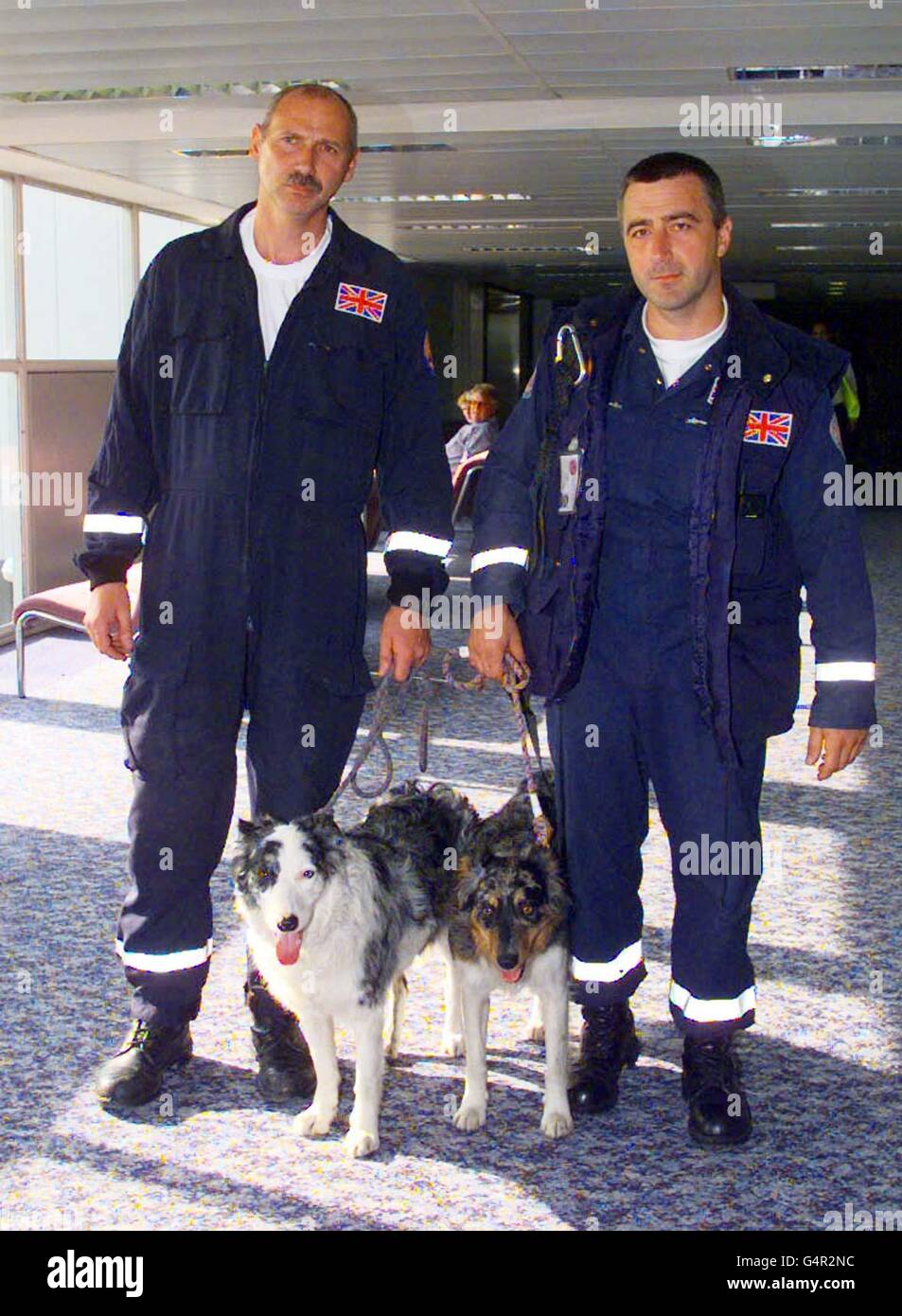How Long Do Dogs Have To Be Quarantined In Uk