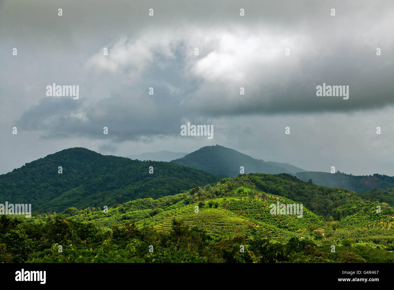 The rainy season on the island of Phuket in Thailand Stock Photo Alamy