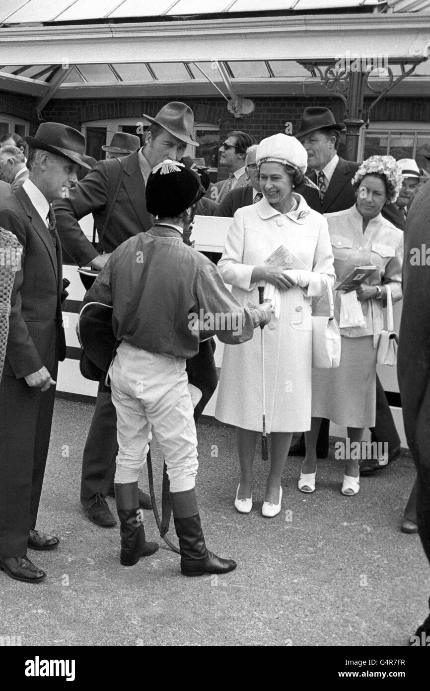 Horse racing the theale maiden stakes newbury racecourse hires stock