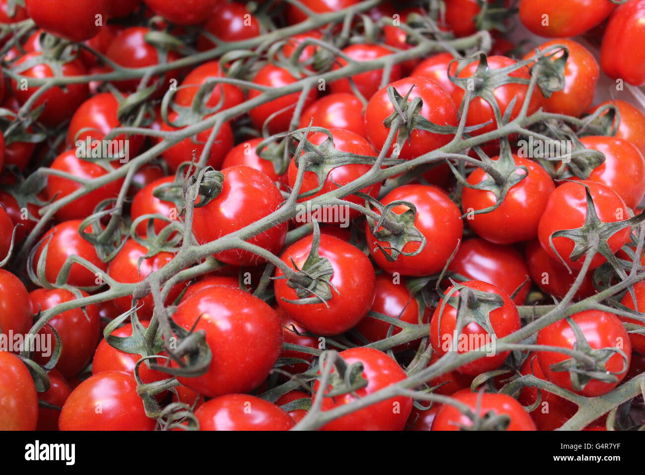 Vine tomatoes on a market stall hi-res stock photography and images - Alamy