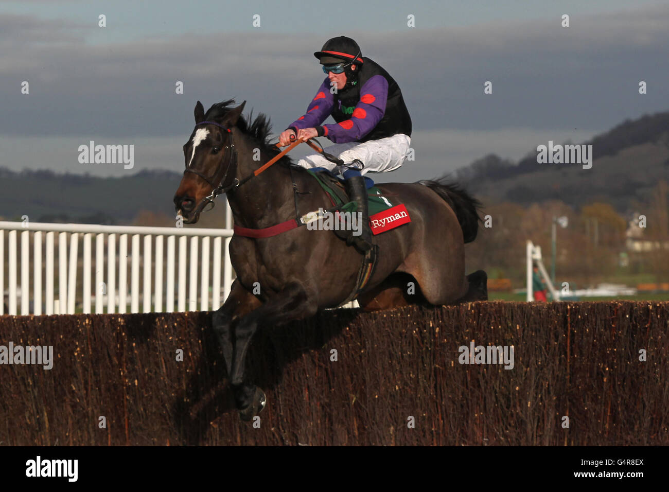 Champion Court ridden by Jockey Alain Cawley jumps in the Ryman The Stationer Novices' Chase Stock Photo