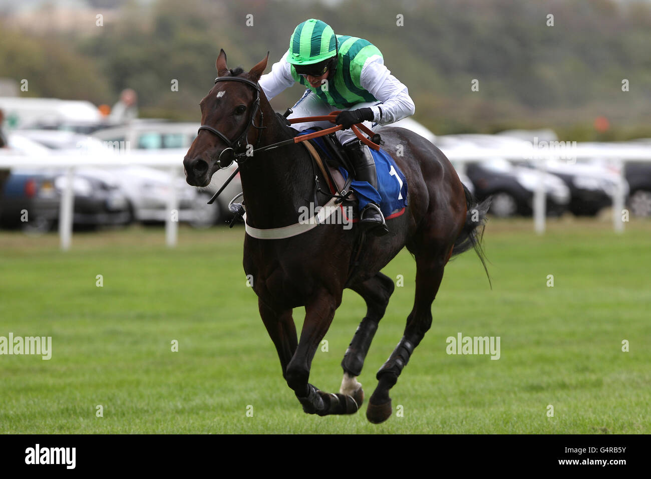Horse Racing - Ludlow Racecourse Stock Photo - Alamy