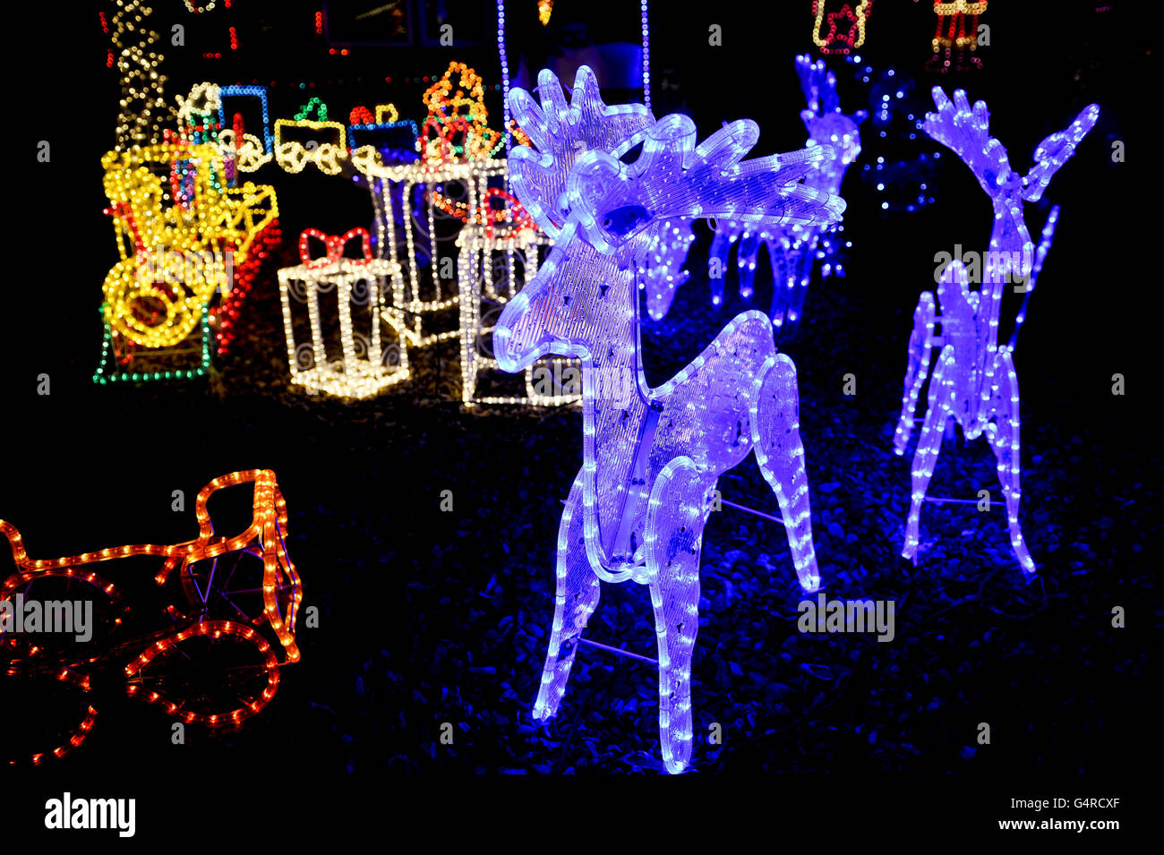 Reindeer glow blue outside a semidetached house on Longford Road