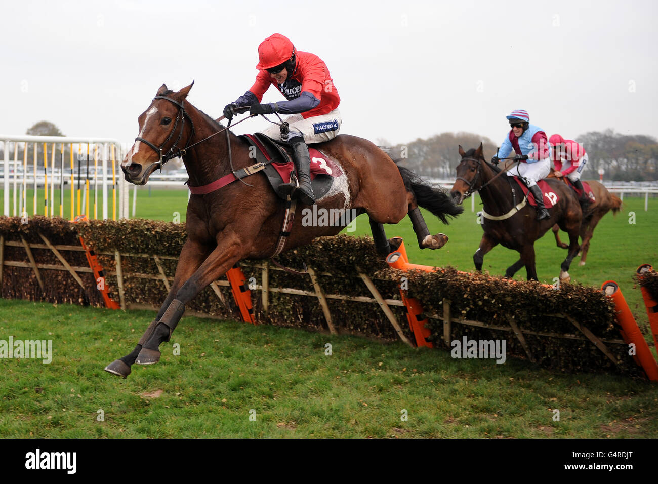 Horseracing races full length action hires stock photography and