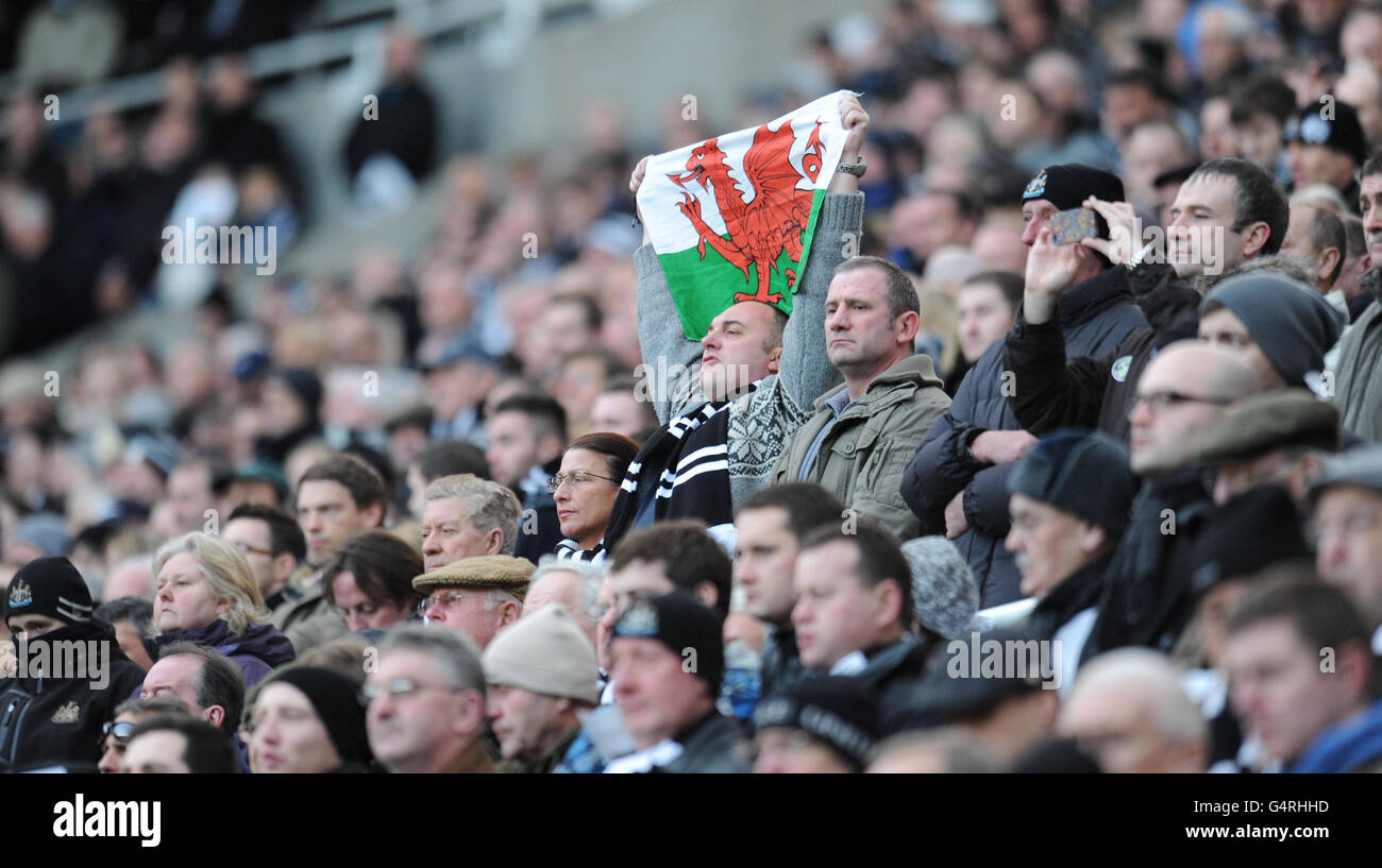 Soccer - Barclays Premier League - Newcastle United v Swansea City - Sport Direct Arena Stock Photo