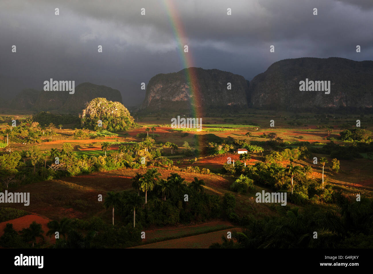 Tobacco growing area, view of the Vinales Valley, in the background karst cones called mogotes, stormy atmosphere, rainbow Stock Photo