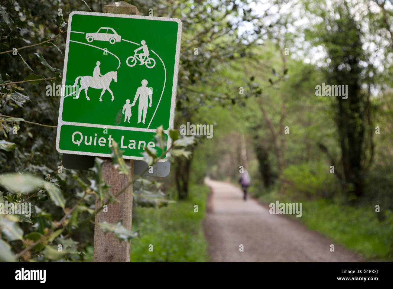 Quiet Lane sign on country lane at Hindhead, Surrey, England, United Kingdom, Europe Stock Photo