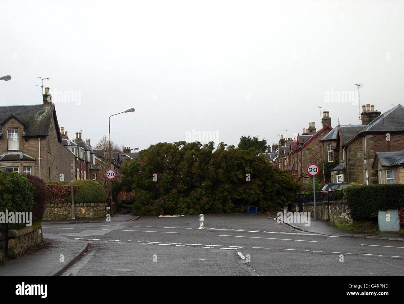 A tree blocks the road on Cawdor Crescent in Dunblane after it was