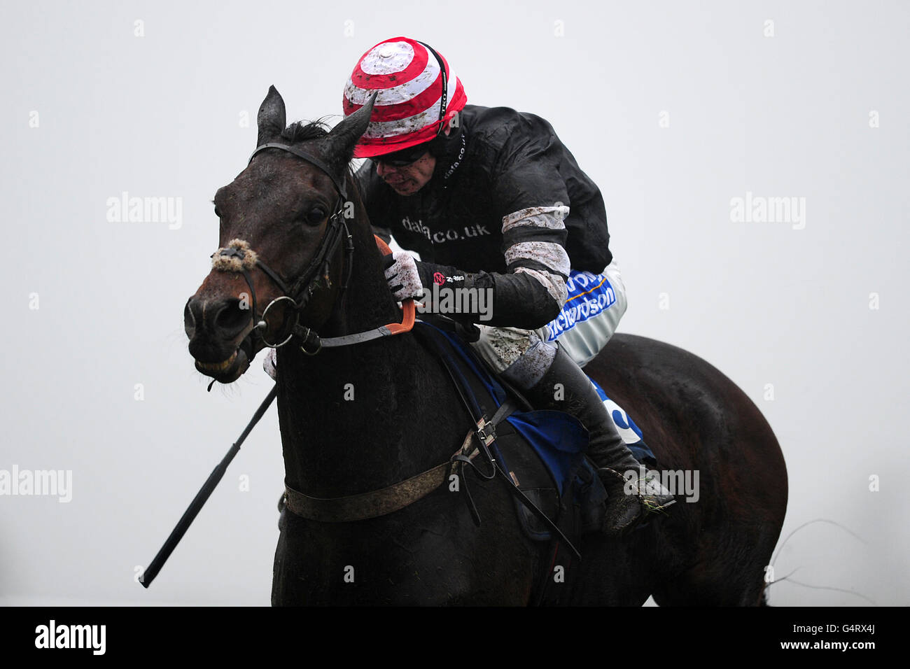 Huntingdon Races Celebration huntingdon hi-res stock photography and images - Alamy