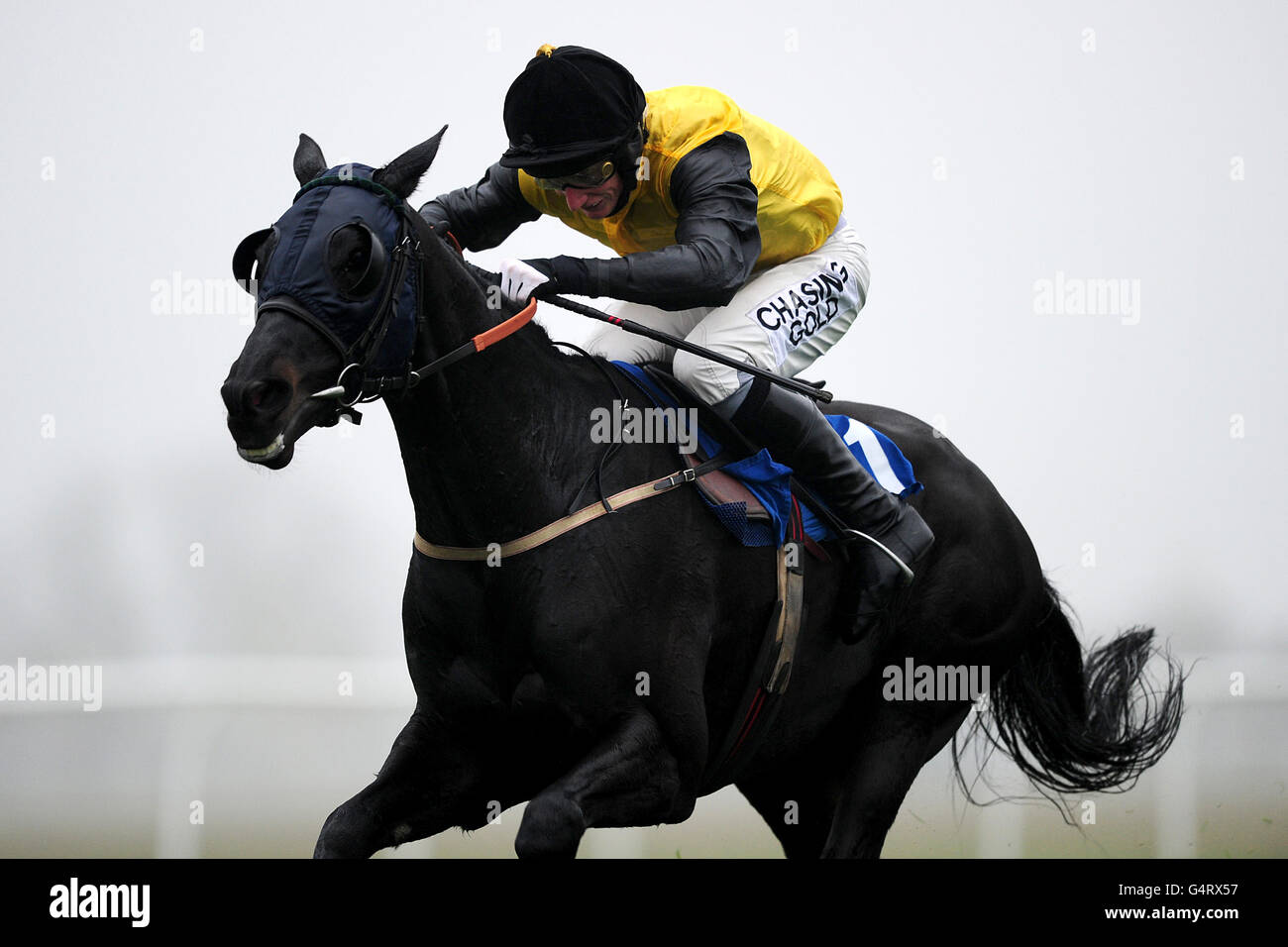 Huntingdon Races Celebration huntingdon hi-res stock photography and images - Alamy