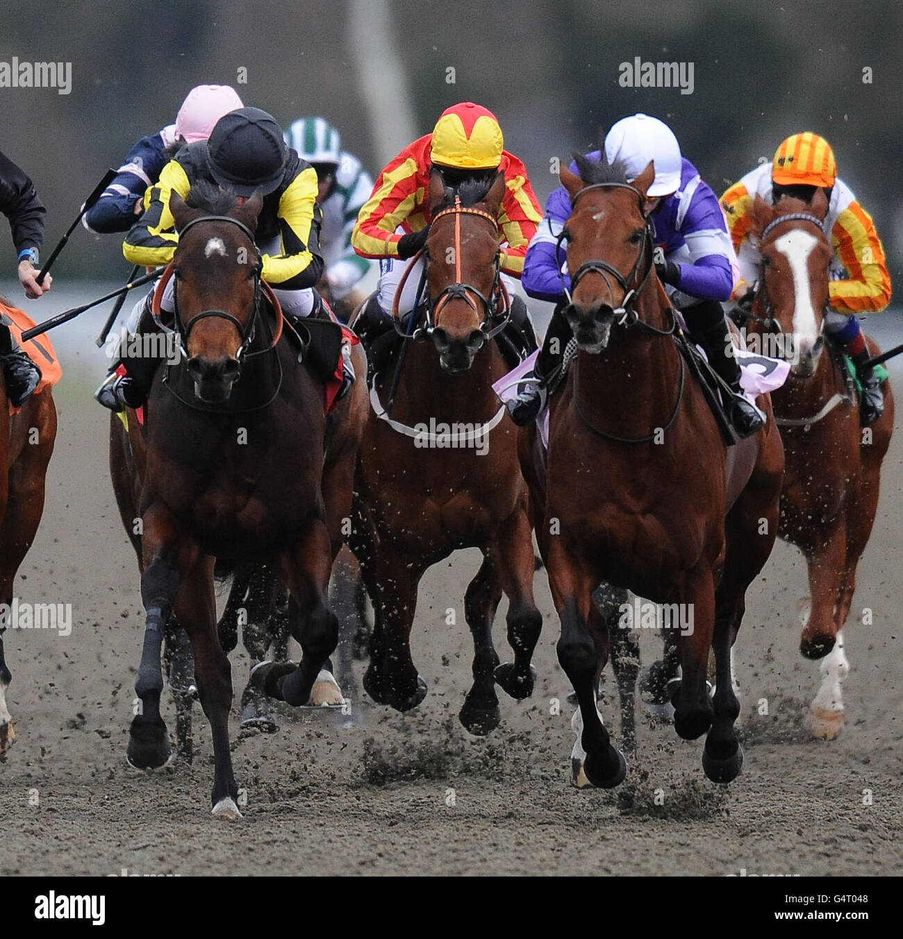 Copper bullet horse hi-res stock photography and images - Alamy
