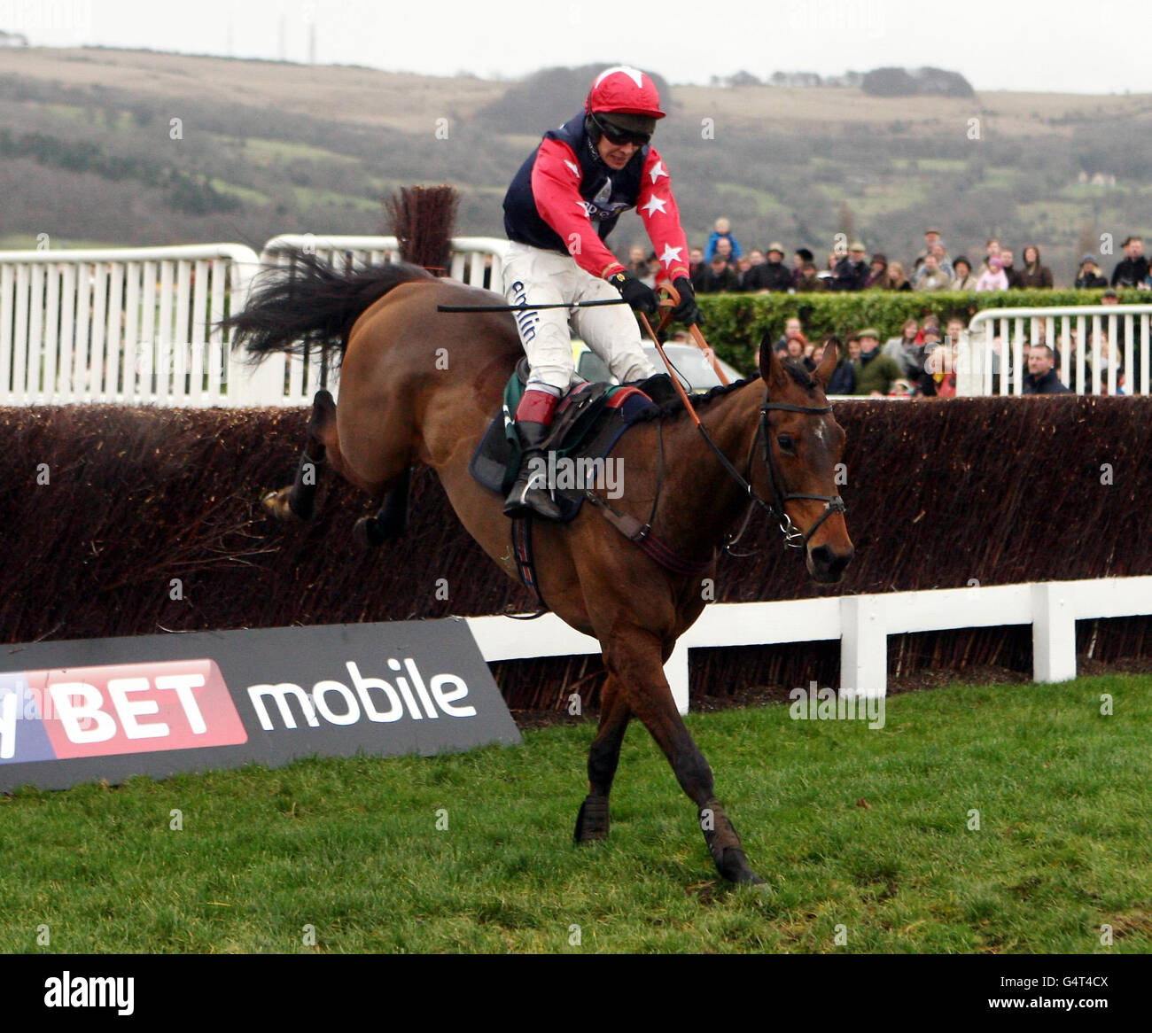 Horse Racing New Years Day Fixture Cheltenham Racecourse. Mostly
