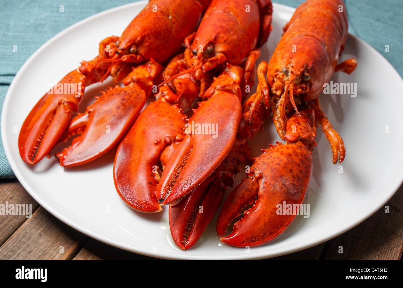Cooked red Lobsters served on white plate ready for eating Stock Photo