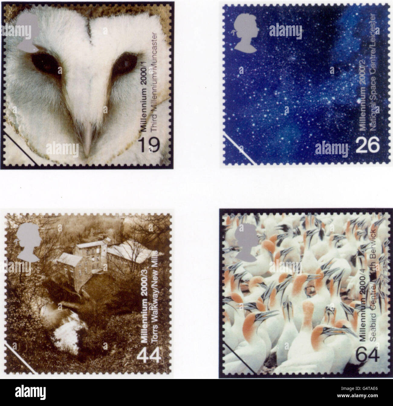 The first four stamps unveiled 25/11/1999 of the second phase of Royal Mail's Millennium Collection. Forty-eight stamps capturing the face of Britain through the eyes of a lens have been chosen by Royal Mail to celebrate the Year 2000. * The first set of stamps of the new Millenniumium is 'Above and Beyond''. The collection begins in dramatic style with the face of a barn owl staring out from the 19p Second Class stamp. A galaxy of stars in a brilliant night sky appears on the 26p First Class Stamp. Torrs Walkway/New Mills is the subject of the 44p stamp. A colourful flock of gannets is on Stock Photo