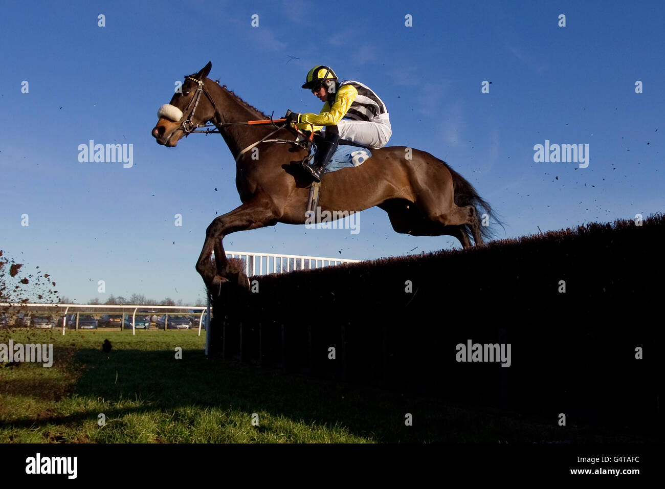 Alexander Road ridden by jockey Jason Maguire jumps during the Wakefield Beginners' Chase Stock Photo