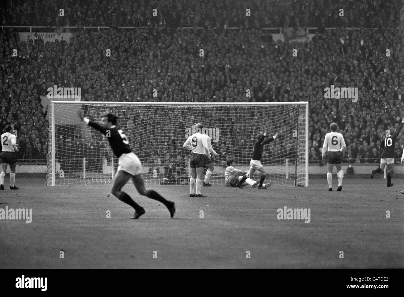 Denis Law Scotland High Resolution Stock Photography And Images Alamy