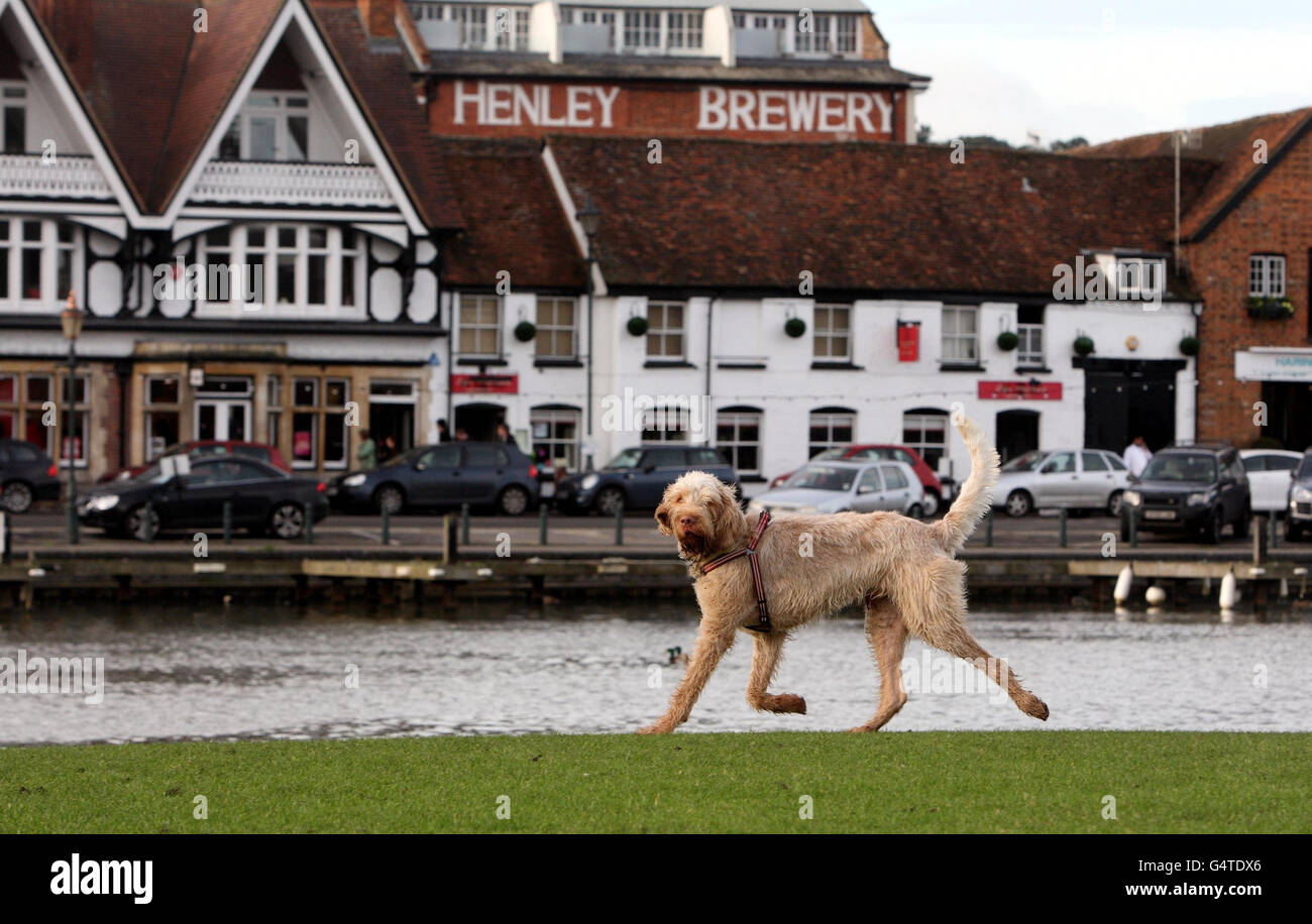 Across thames in henley hi res stock photography and images Alamy Across thames in henley hi res stock photography and images Alamy