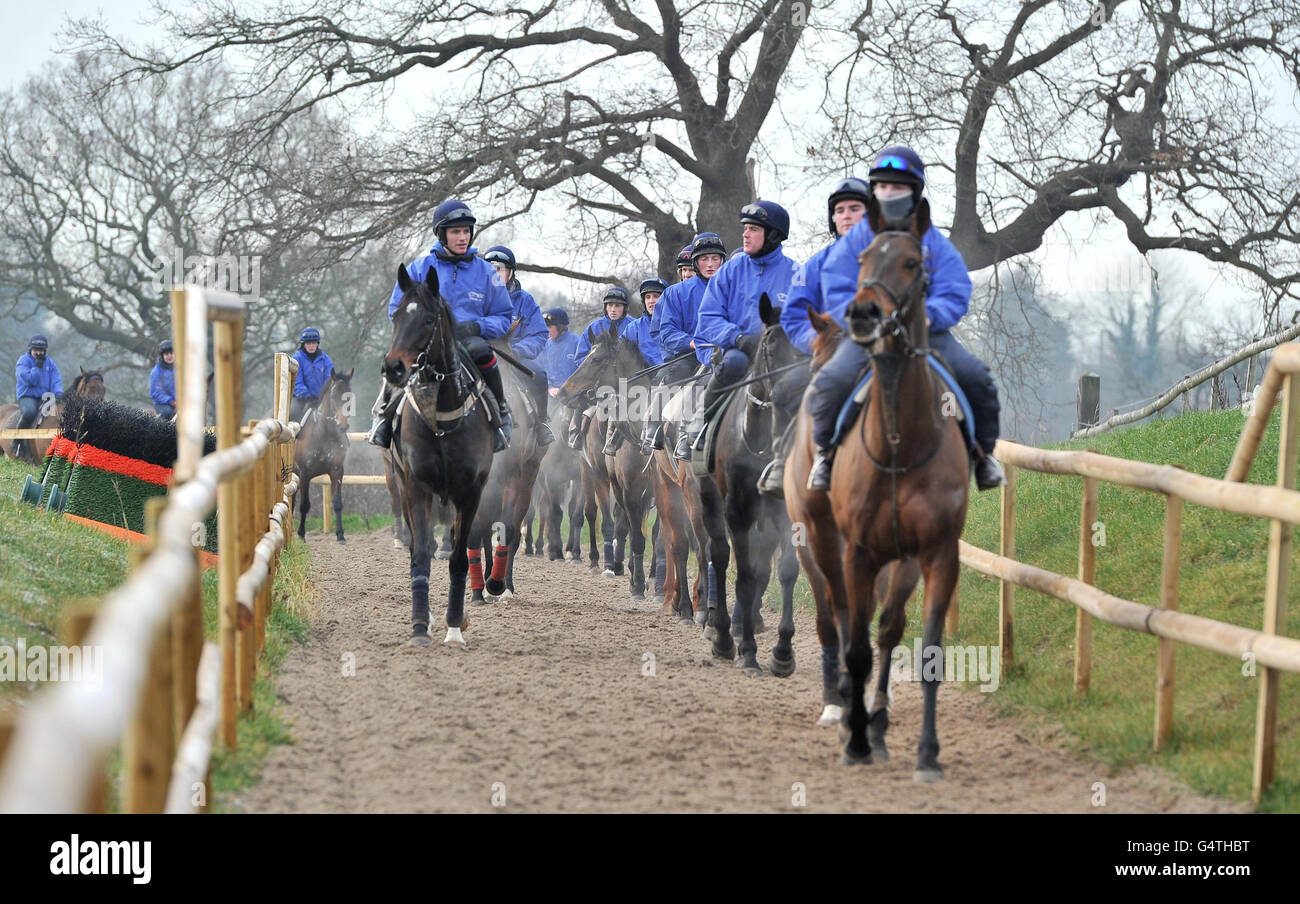 Donald McCain Jnr's horses out on the gallops at his stables at Bank House, Cholmondeley. Stock Photo