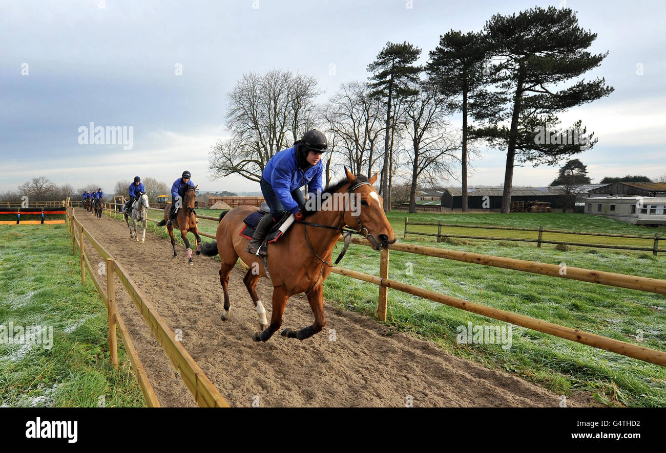 Donald McCain Jnr's horses out on the gallops at his stables at Bank House, Cholmondeley. Stock Photo