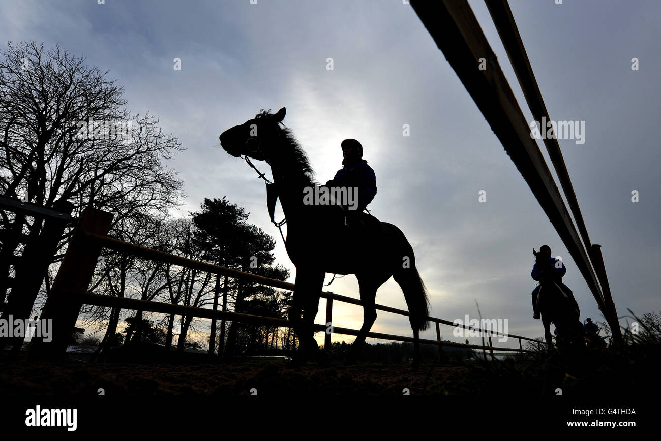 Horse Racing - Donald McCain Stable Visit - Bank House Stock Photo