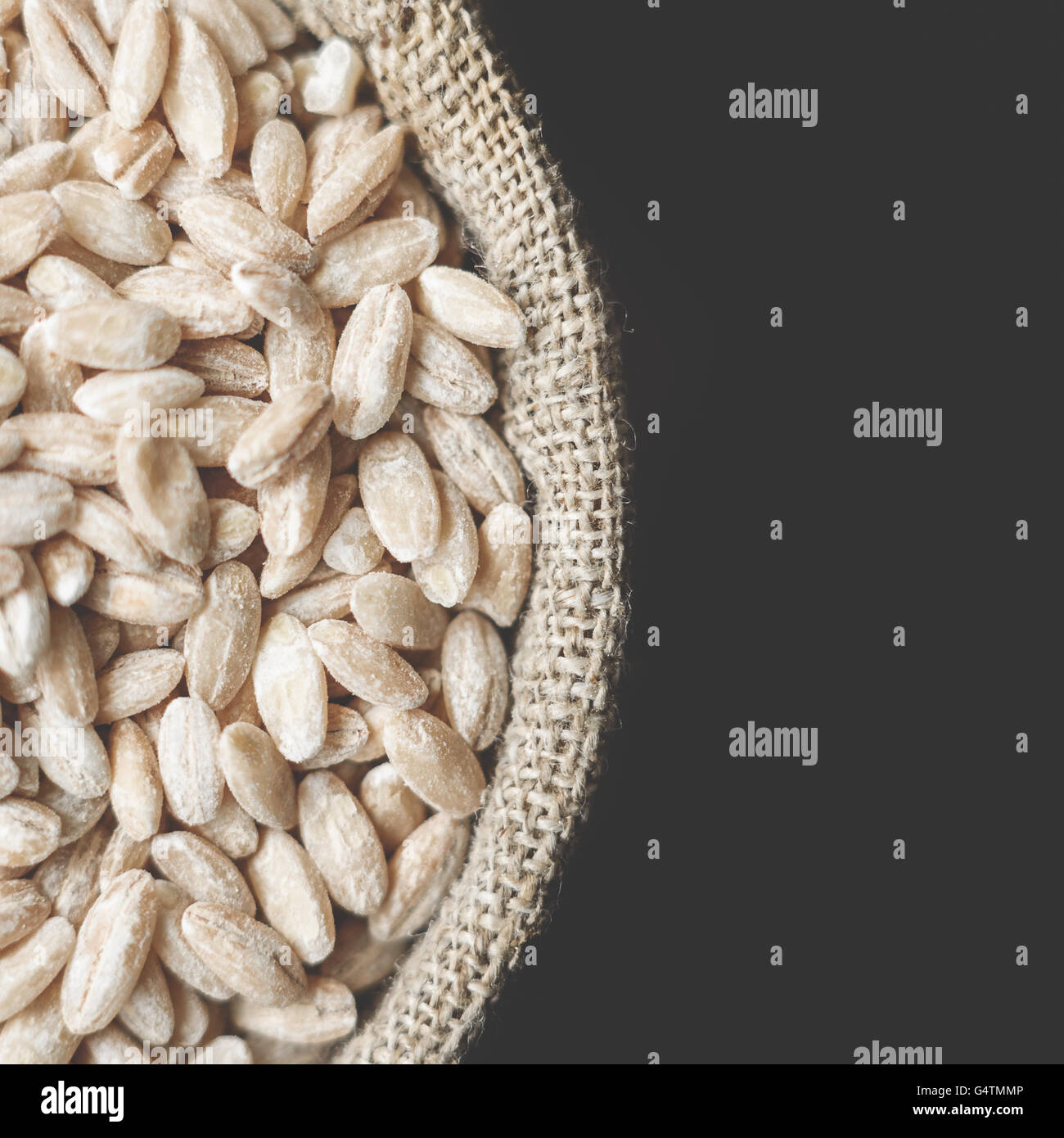 grain barley in flax sack on grey background Stock Photo