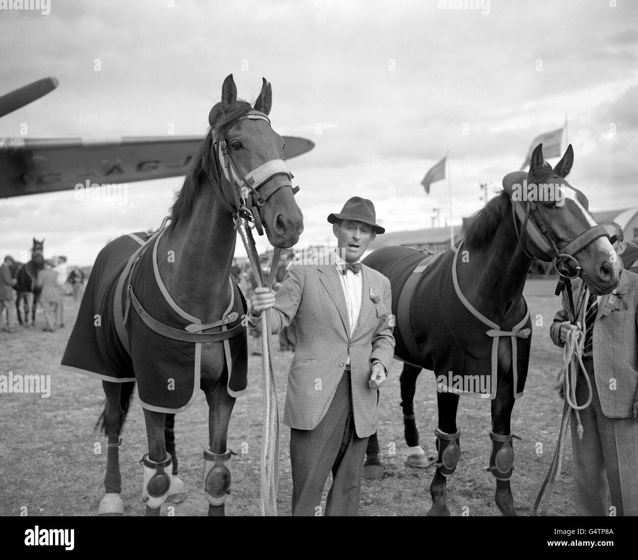 Britain's only Olympic Gold Medal winners arrive at Blackbushe Airport, Surrey from Helsinki. They were the three riders and their horses that jumped to success in the team section of the Prix des Nations, including Foxhunter and his rider Colonel Harry Llewellyn Stock Photo