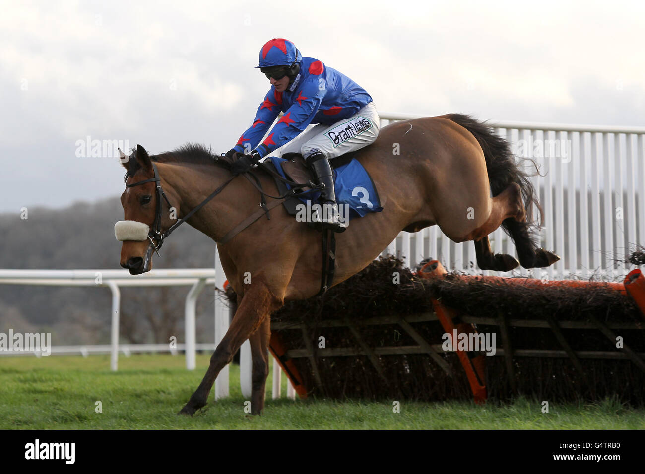 Alarming Alacrity ridden by jockey Adam Wedge in the southwest-racing.co.uk Novices' Hurdle Stock Photo