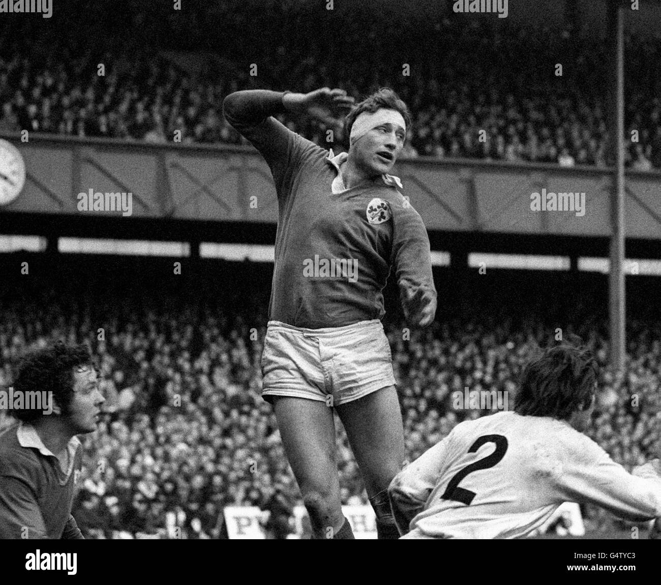 William McBride Stock Photo 106269187 Alamy