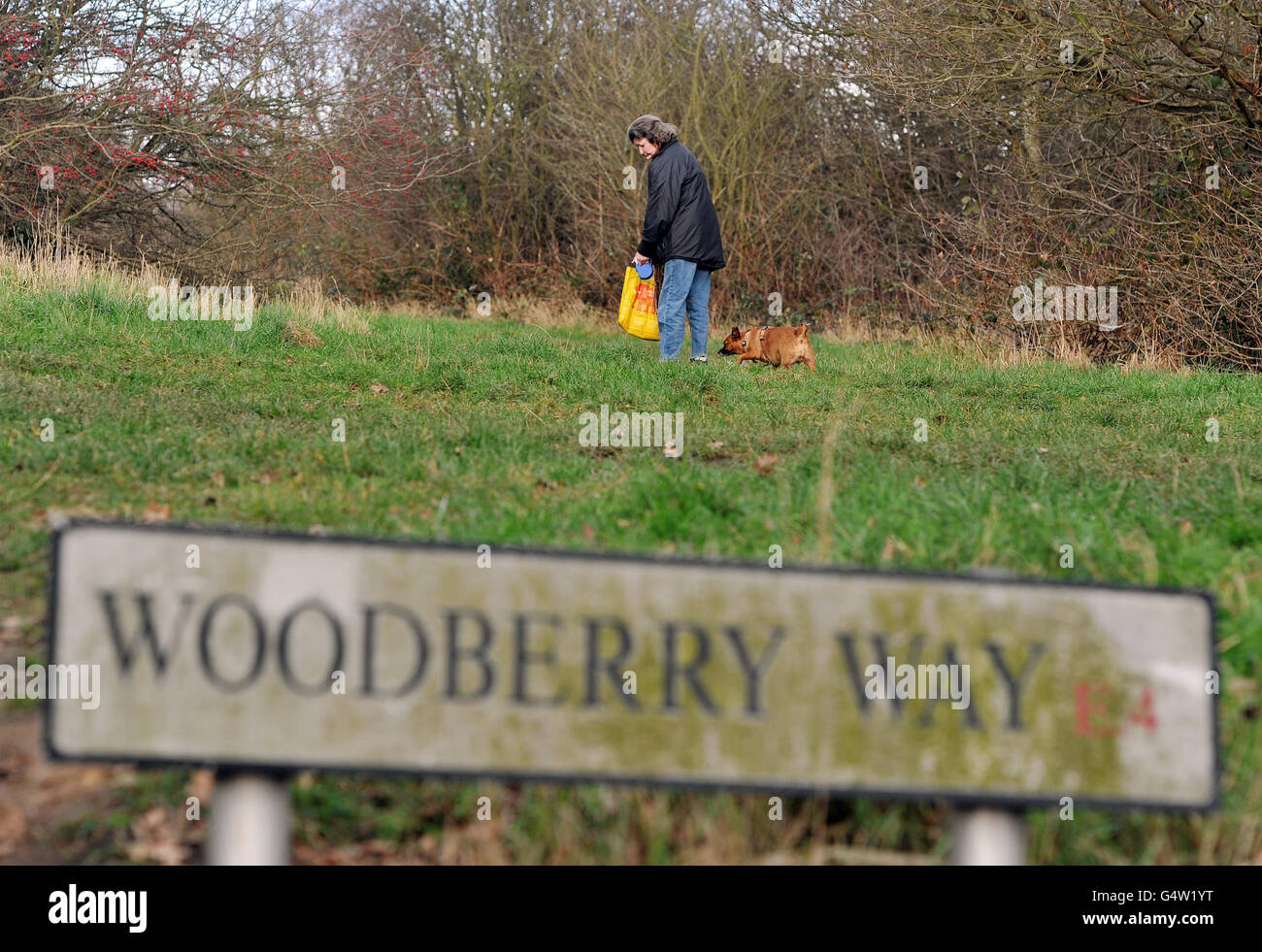 Dog attack on young girl Stock Photo Alamy