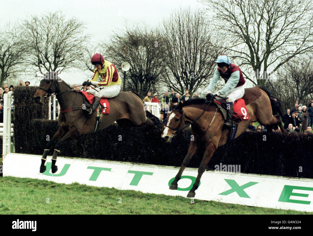 Sad Mad Bad (No.9) with Alan Dempsey about to touch down ahead of In The Blood, to win the ukbetting.com. Steeple Chase at Uttoxeter, entering the record books as the first winner of the millennium. Stock Photo