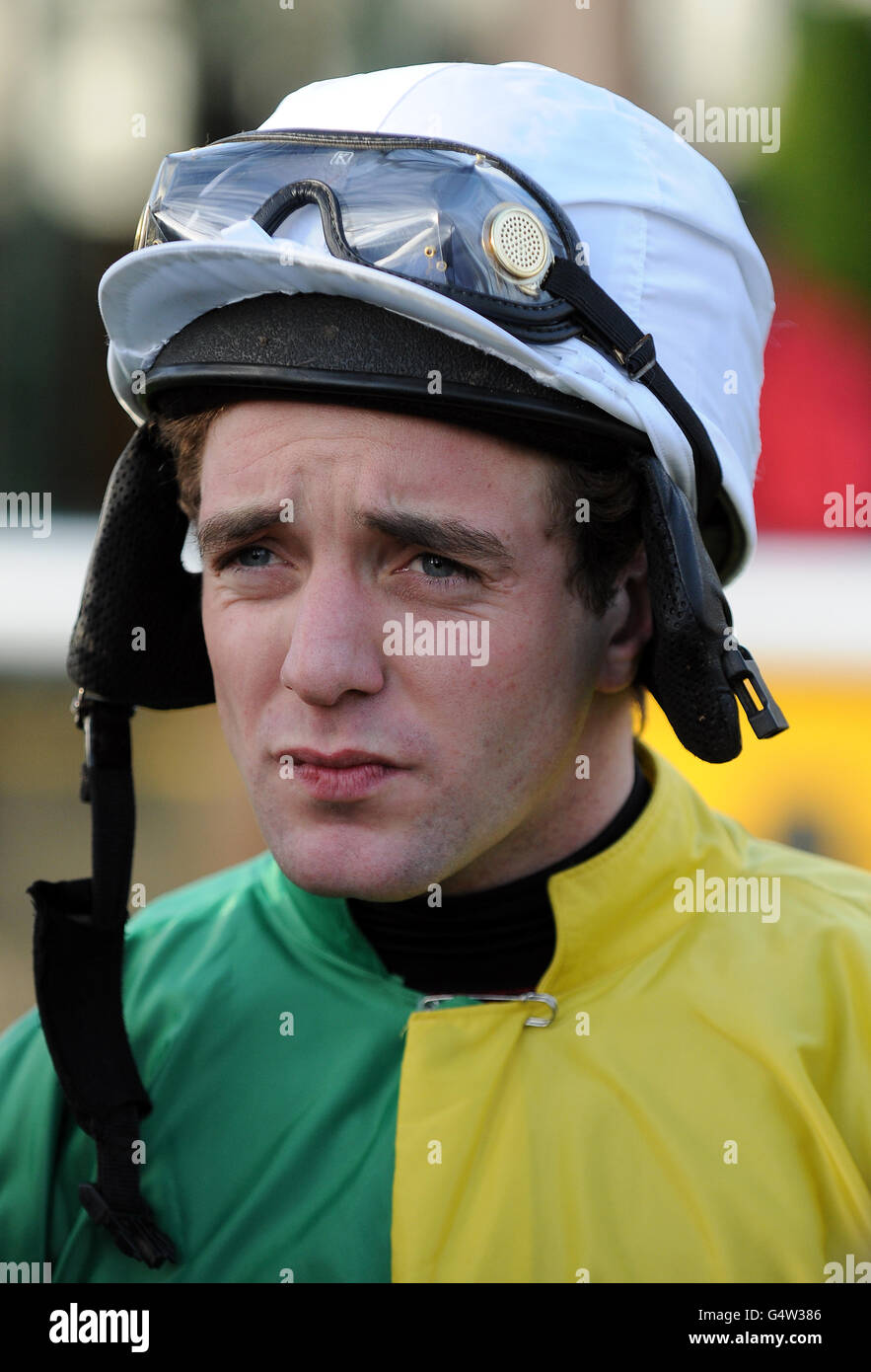 Horse Racing Peter Marsh Chase Raceday Haydock Park Stock Photo Alamy