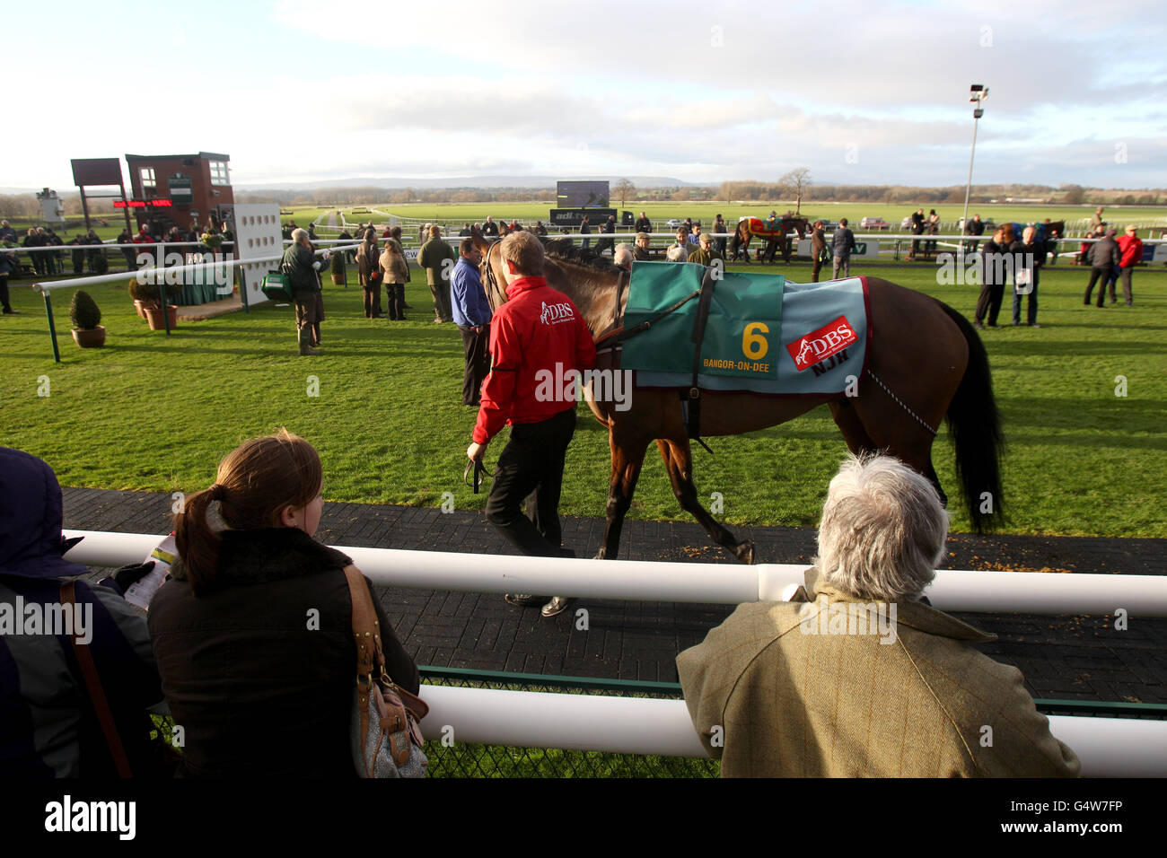 A horse is paraded at bangor on racecourse hi-res stock photography and ...