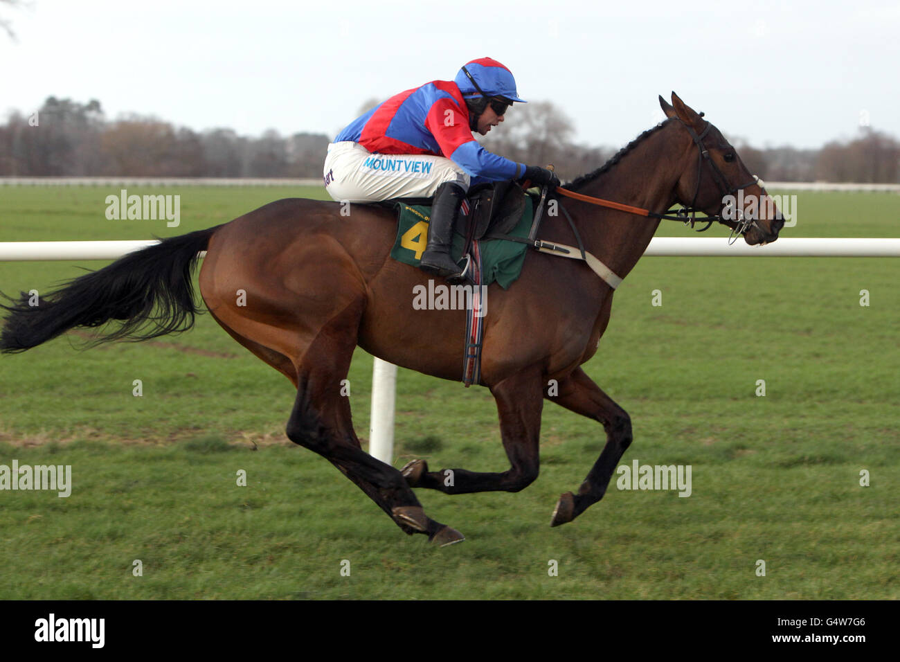 Hurdle race bangor on dee racecourse hi-res stock photography and ...