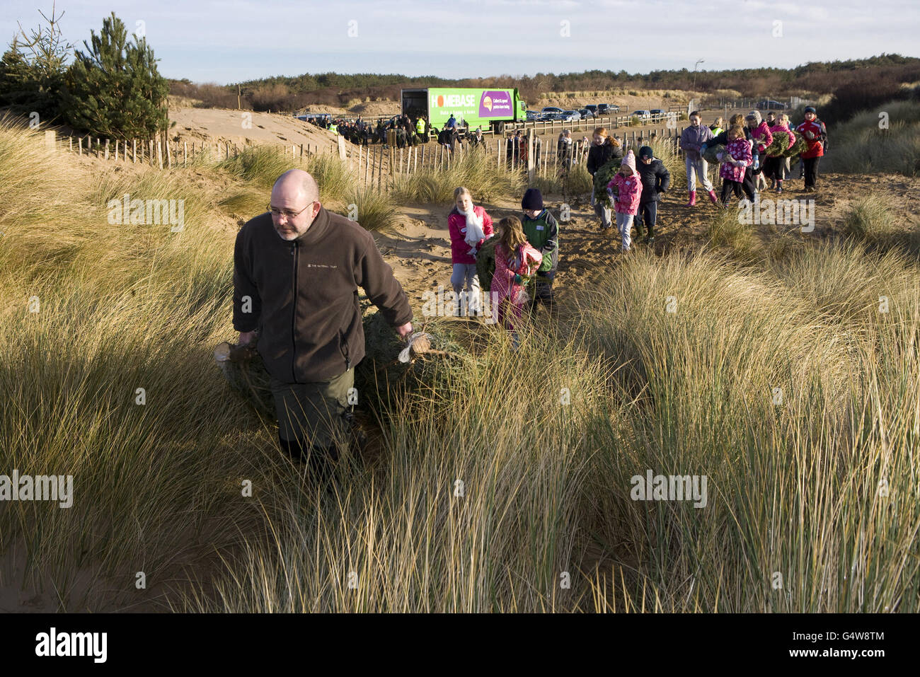 Donated Christmas trees to fight erosion Stock Photo Alamy