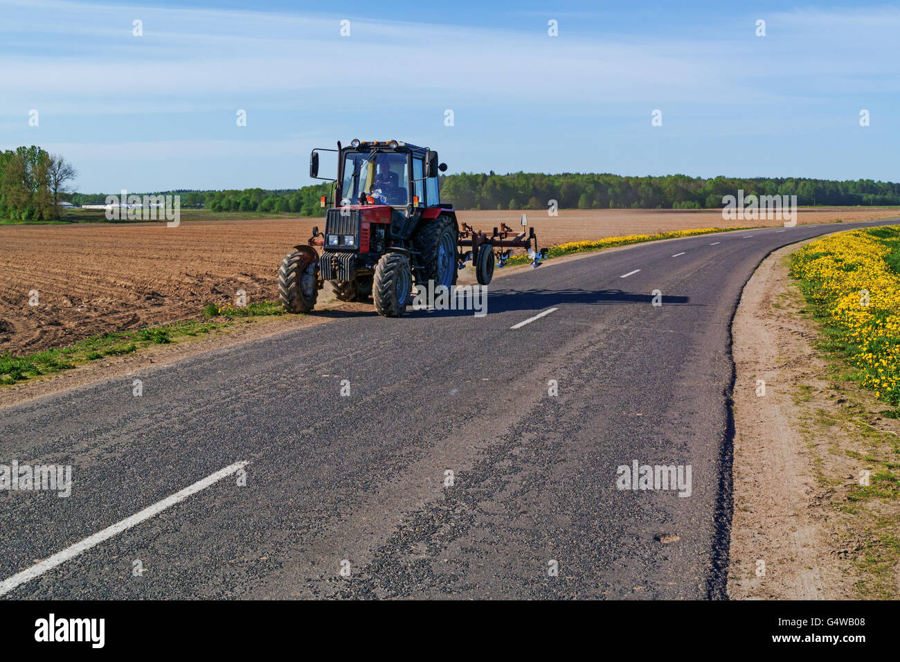 The peasant works at an agricultural field at tractor. Along the road yellow dandelions. Stock Photo