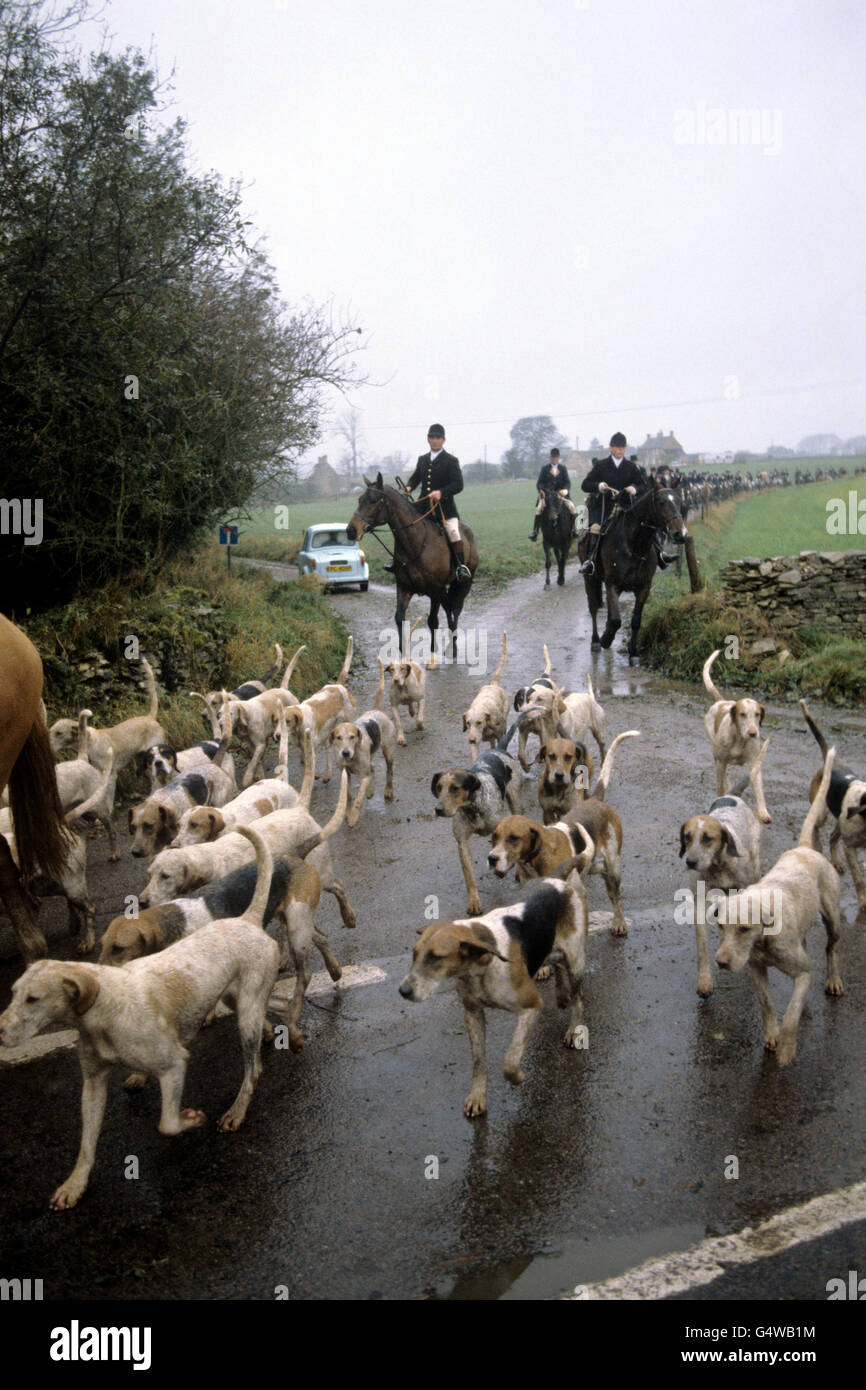 The Duke of Beaufort Hunt setting off near Worcester Lodge, Gloucestershire Stock Photo
