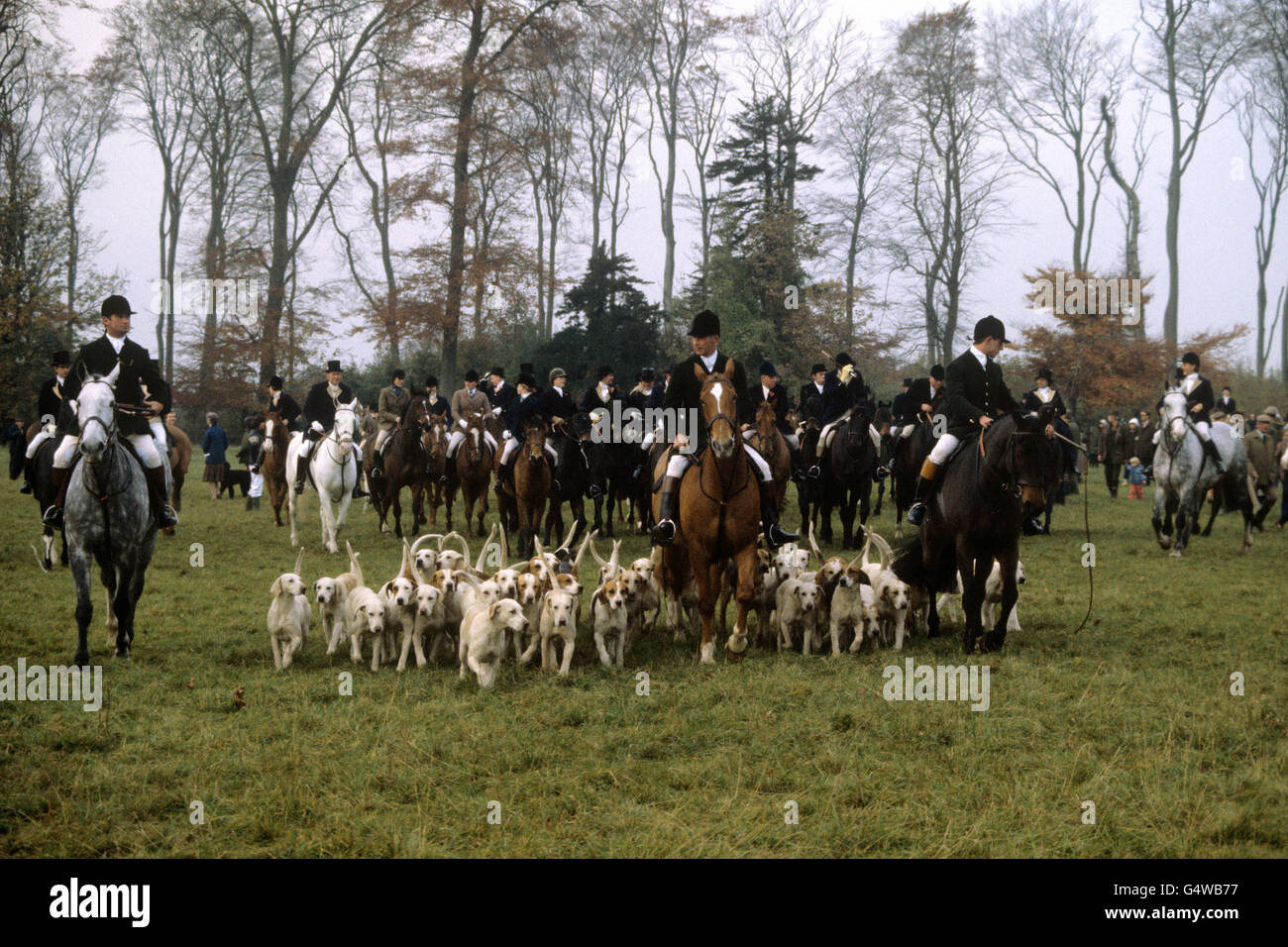 Hunting - Duke of Beaufort Hunt - Gloucestershire Stock Photo