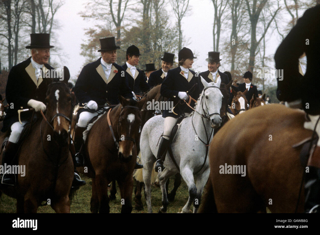 Horses and riders taking part in the Duke of Beaufort Hunt in Gloucestershire Stock Photo