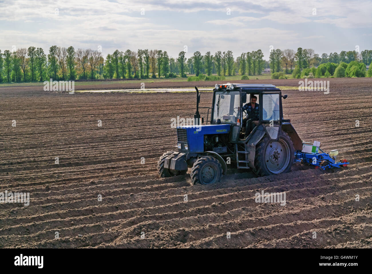 The tractor works at an agricultural field. Arable land in the background partially floode. Stock Photo